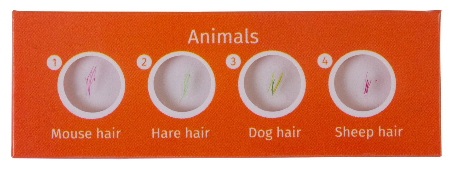 Levenhuk LabZZ C12 Set di vetrini preparati Animali