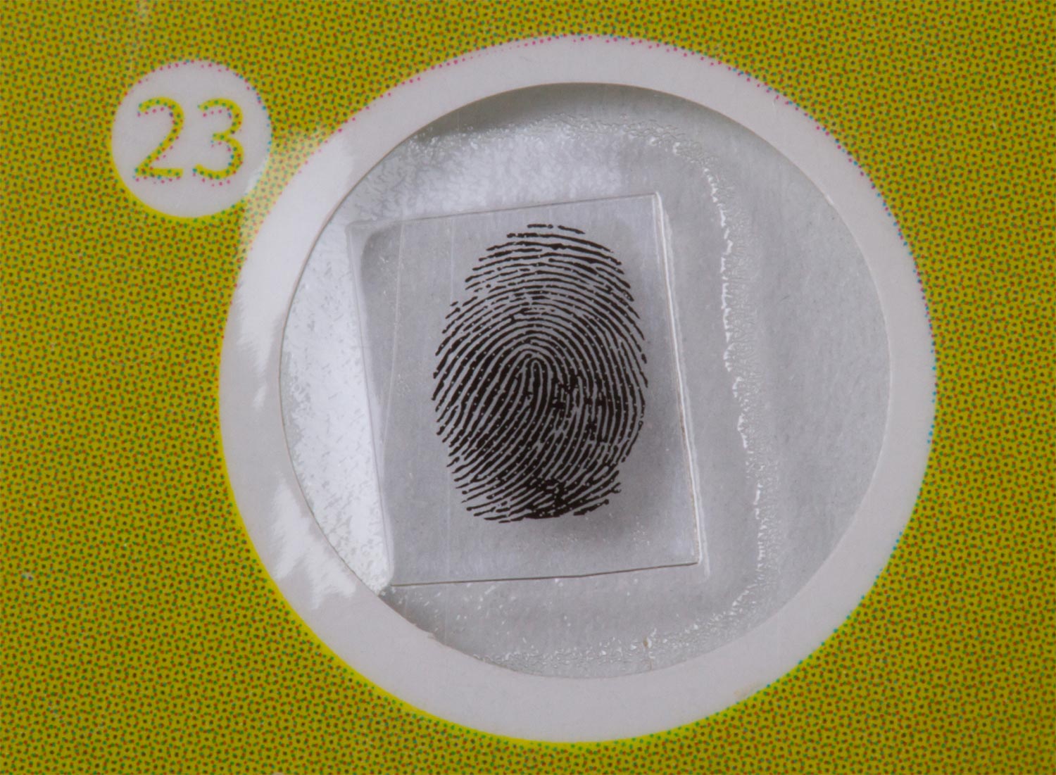 Levenhuk LabZZ P12 Set di vetrini preparati Piante