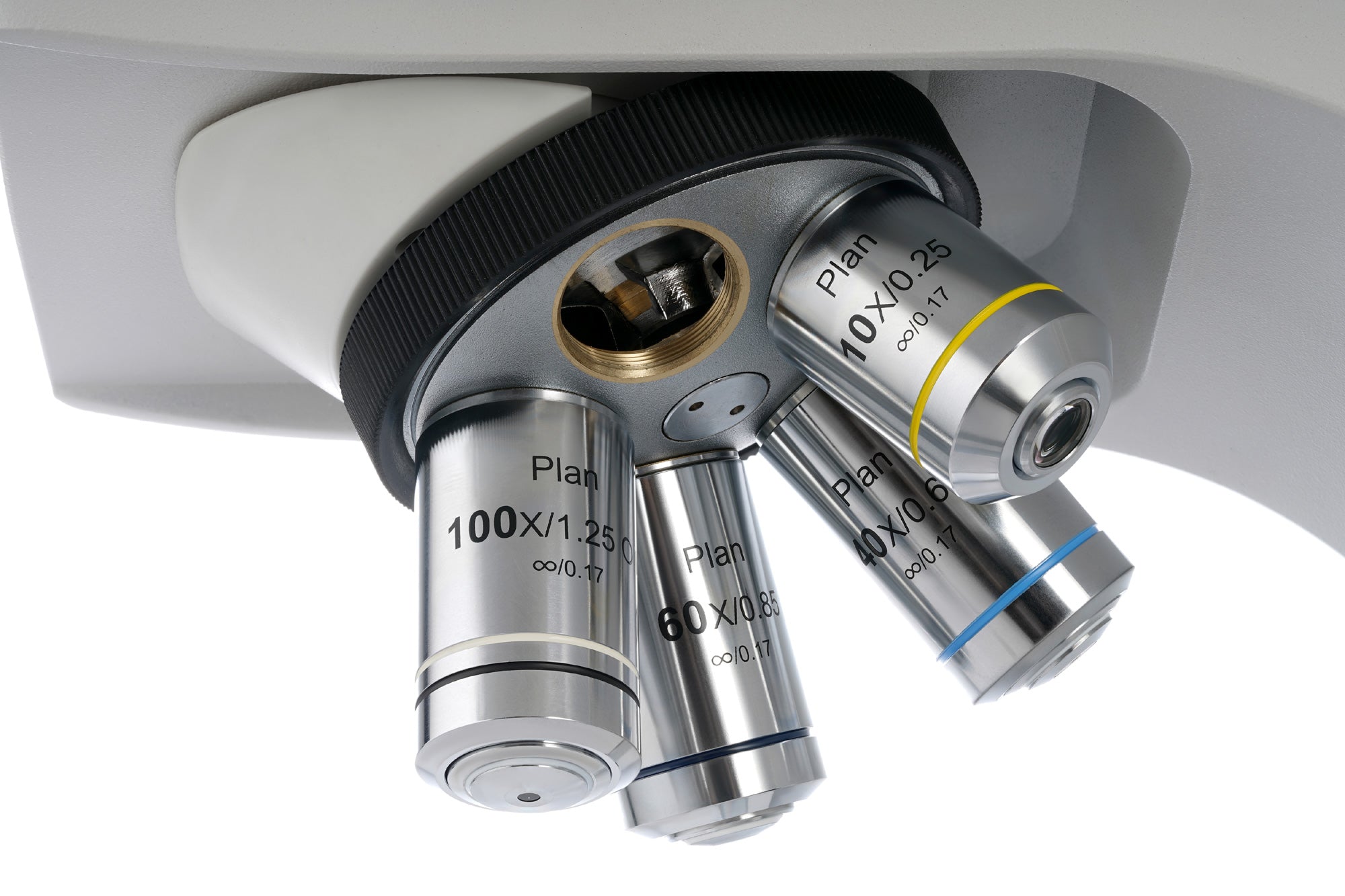 Microscopio trinoculare digitale Levenhuk MED D40T LCD