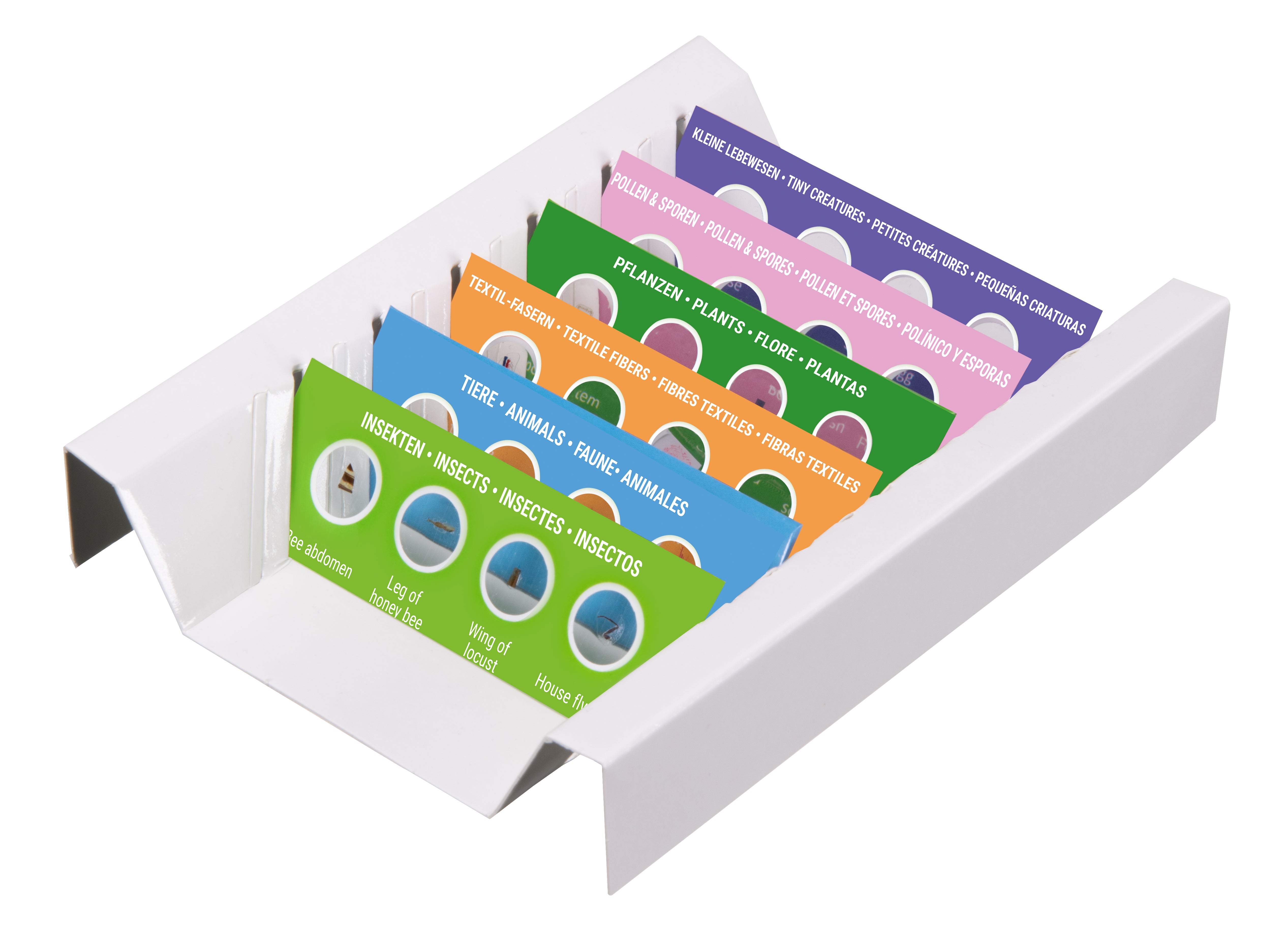 Kit per esperimenti Bresser Junior con 24 preparati permanenti microscopio per principianti