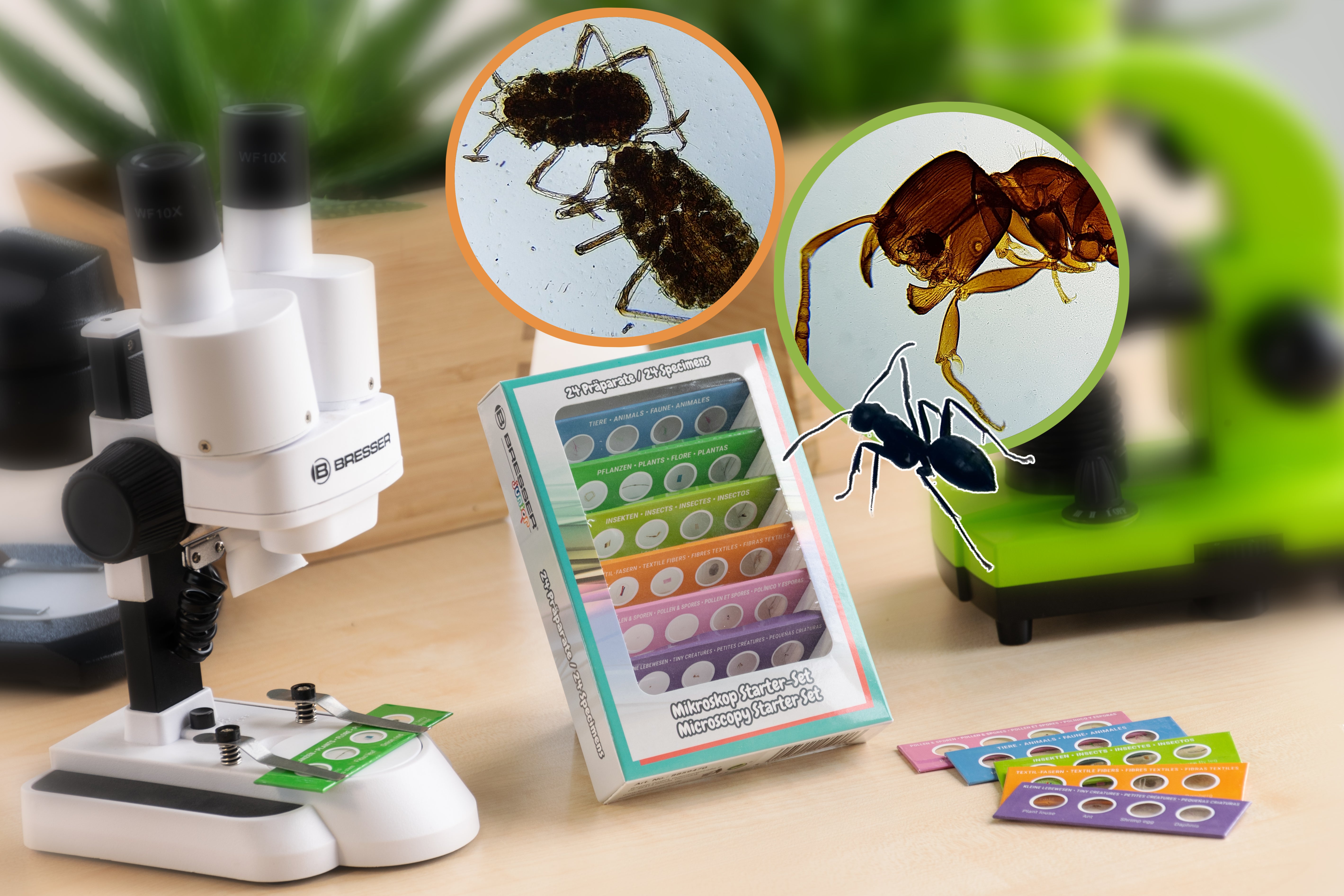 Kit per esperimenti Bresser Junior con 24 preparati permanenti microscopio per principianti