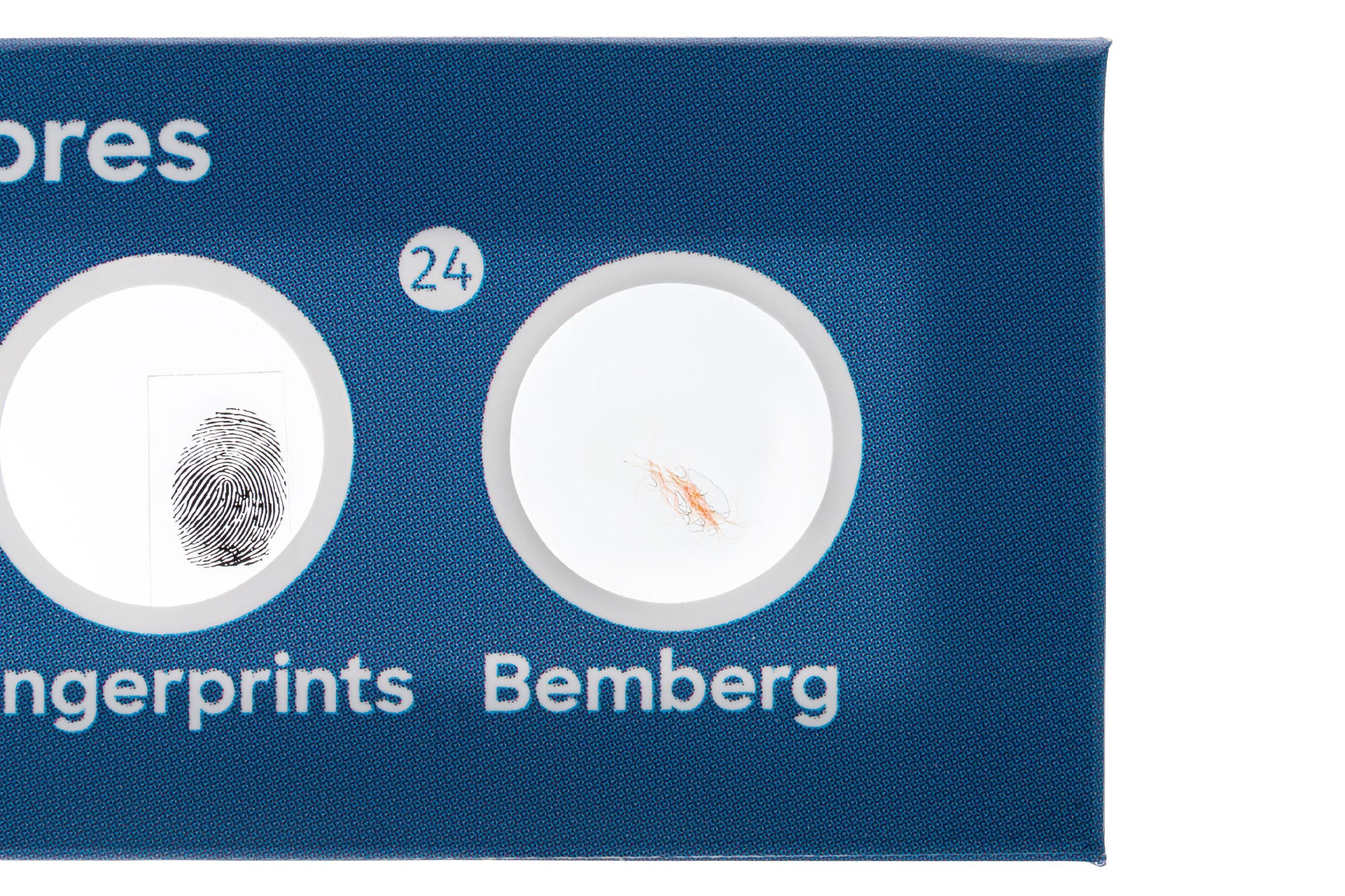 Levenhuk Discovery Flora Set con 12 vetrini preparati