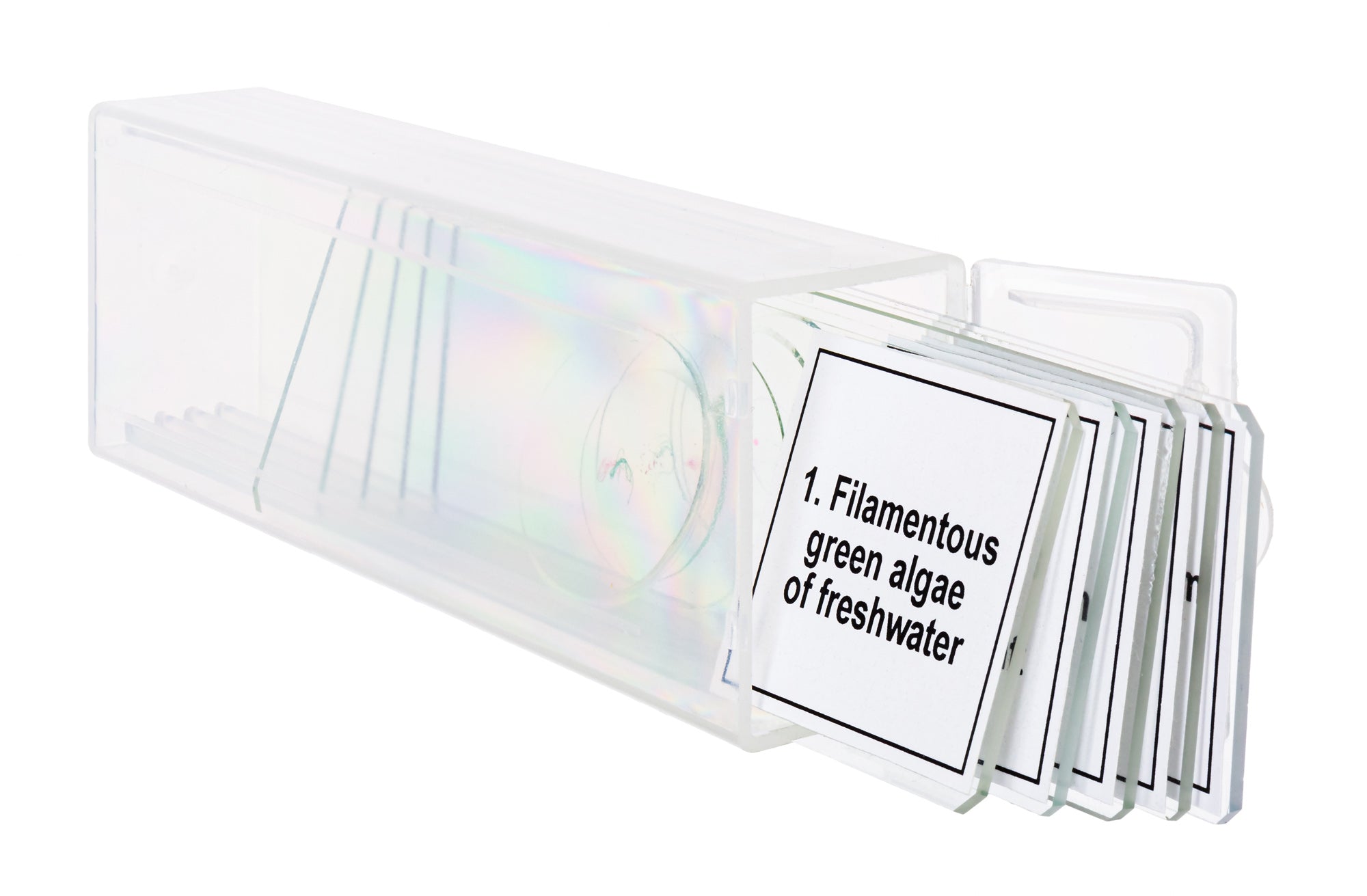 Set di micropreparati Levenhuk Discovery Prof DPS 5. “Biologia”