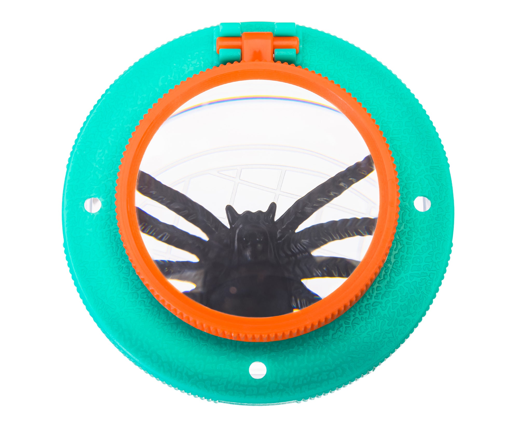 Barattolo per insetti Levenhuk Discovery Basics CN5