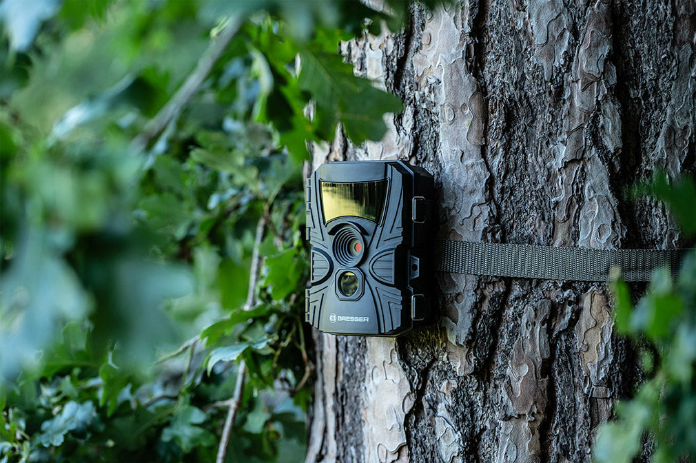 Bresser fototrappola 60° per l'osservazione della fauna selvatica 5–20 MP