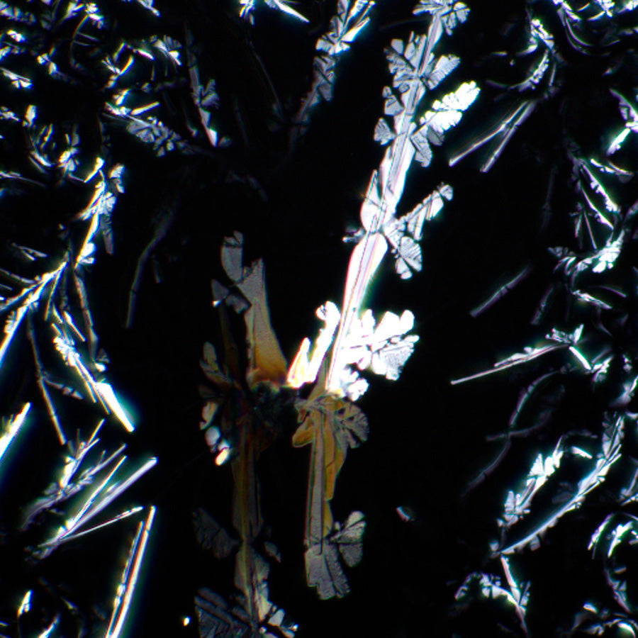 Set polarizzatore/analizzatore MAGUS SPD3