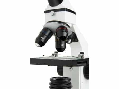 Microscopio LABS CL-CM800