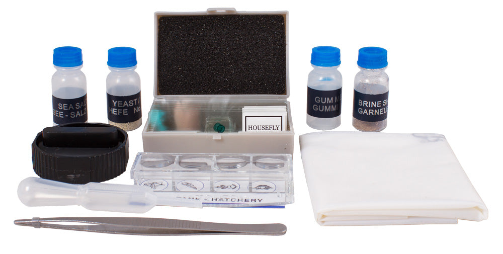 Kit per esperimenti Levenhuk K50