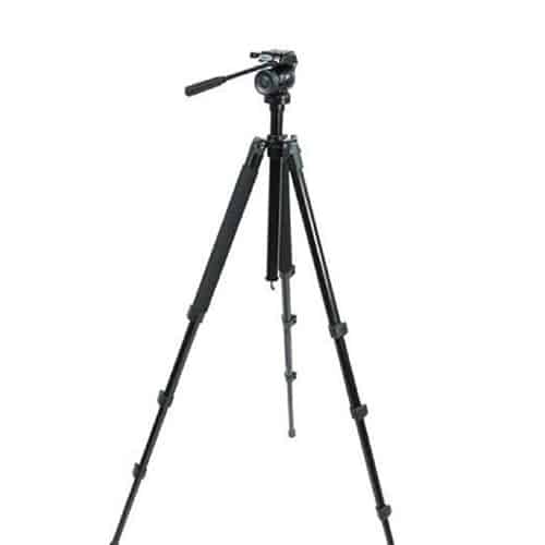 Treppiede Fotografico con testa fluida