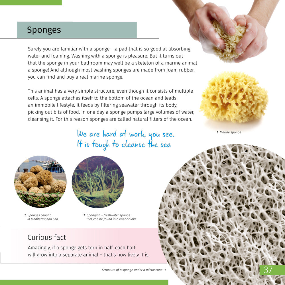 Mondo invisibile. Libro educativo. Copertina rigida