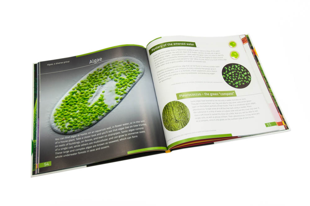 Mondo invisibile. Libro educativo. Copertina rigida