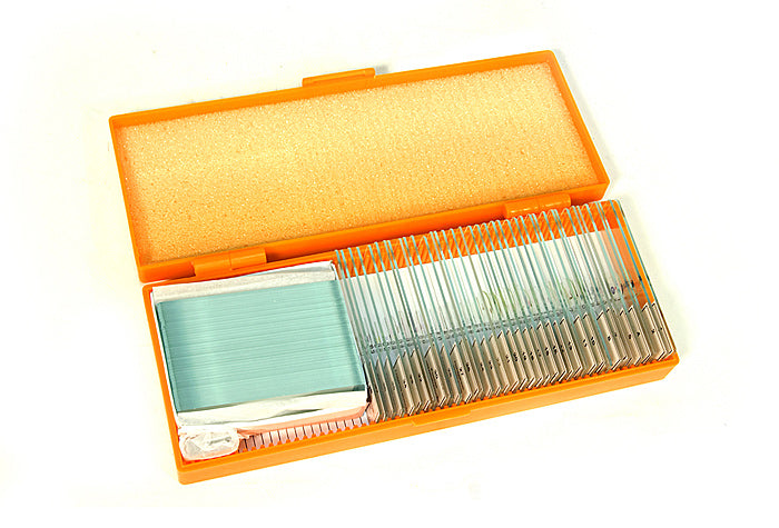 Set di vetrini preparati Levenhuk N38 NG