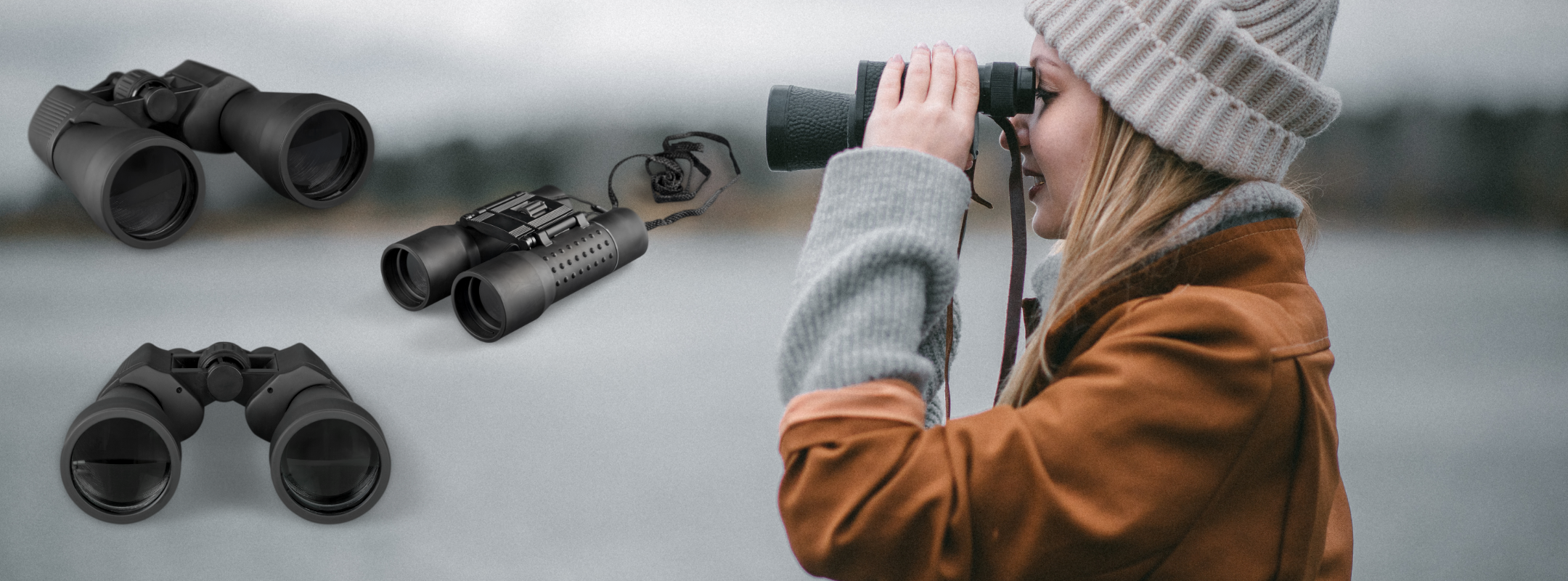 Scelta del binocolo: Prisma a tetto o di Porro?