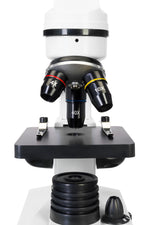 Microscopio digitale Levenhuk Rainbow D2L 0.3M, moonstone