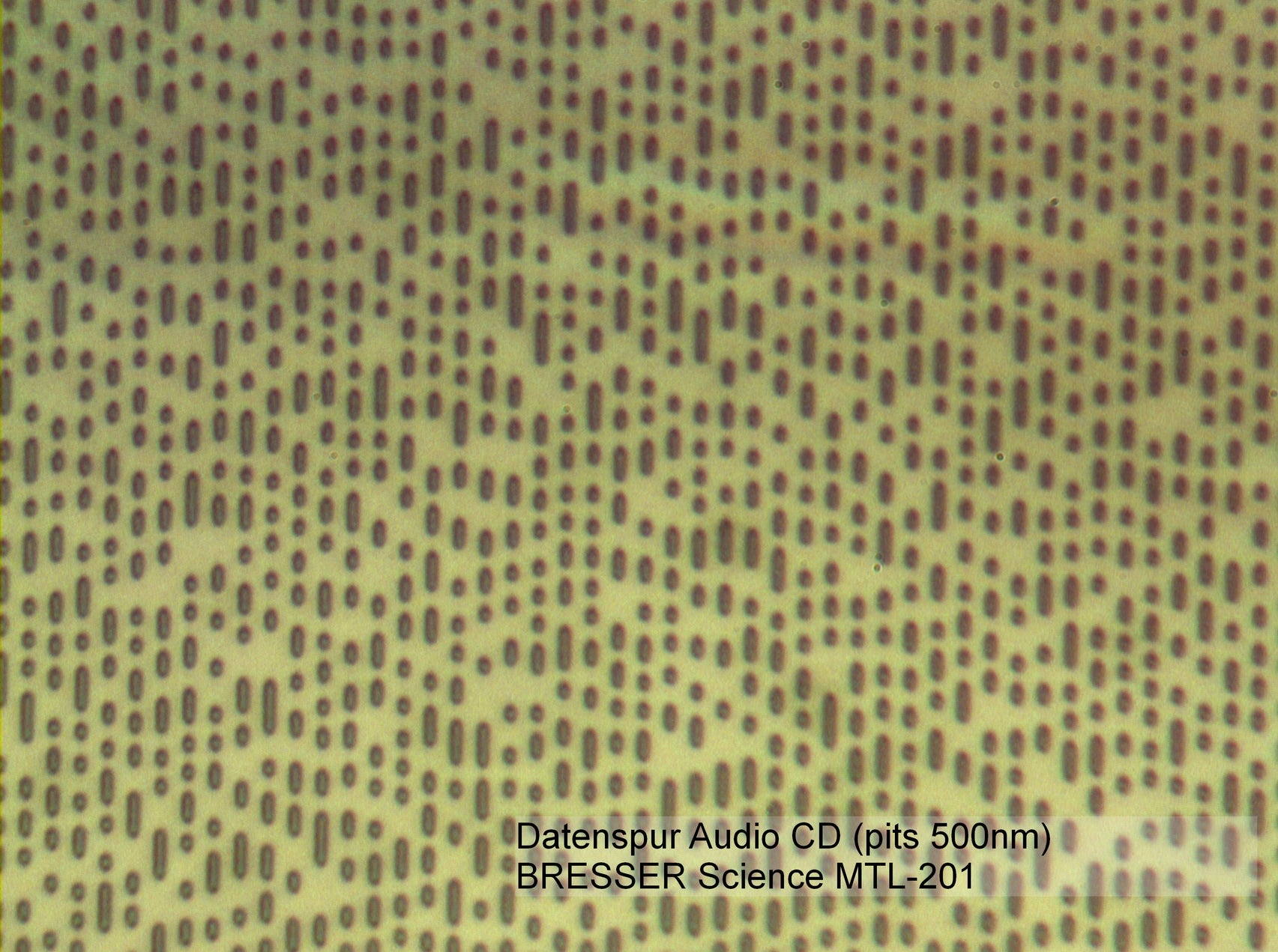 Microscopio Bresser Science MTL 201 50-800x