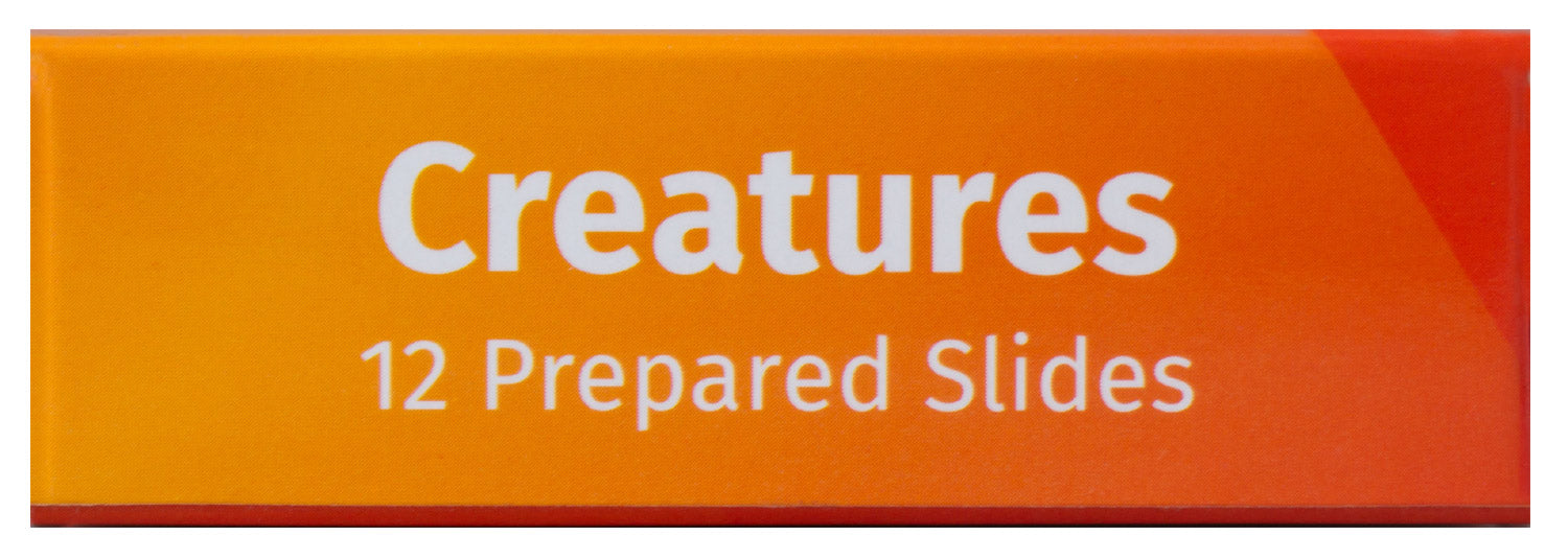 Levenhuk LabZZ C12 Set di vetrini preparati Animali