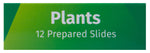 Levenhuk LabZZ P12 Set di vetrini preparati Piante