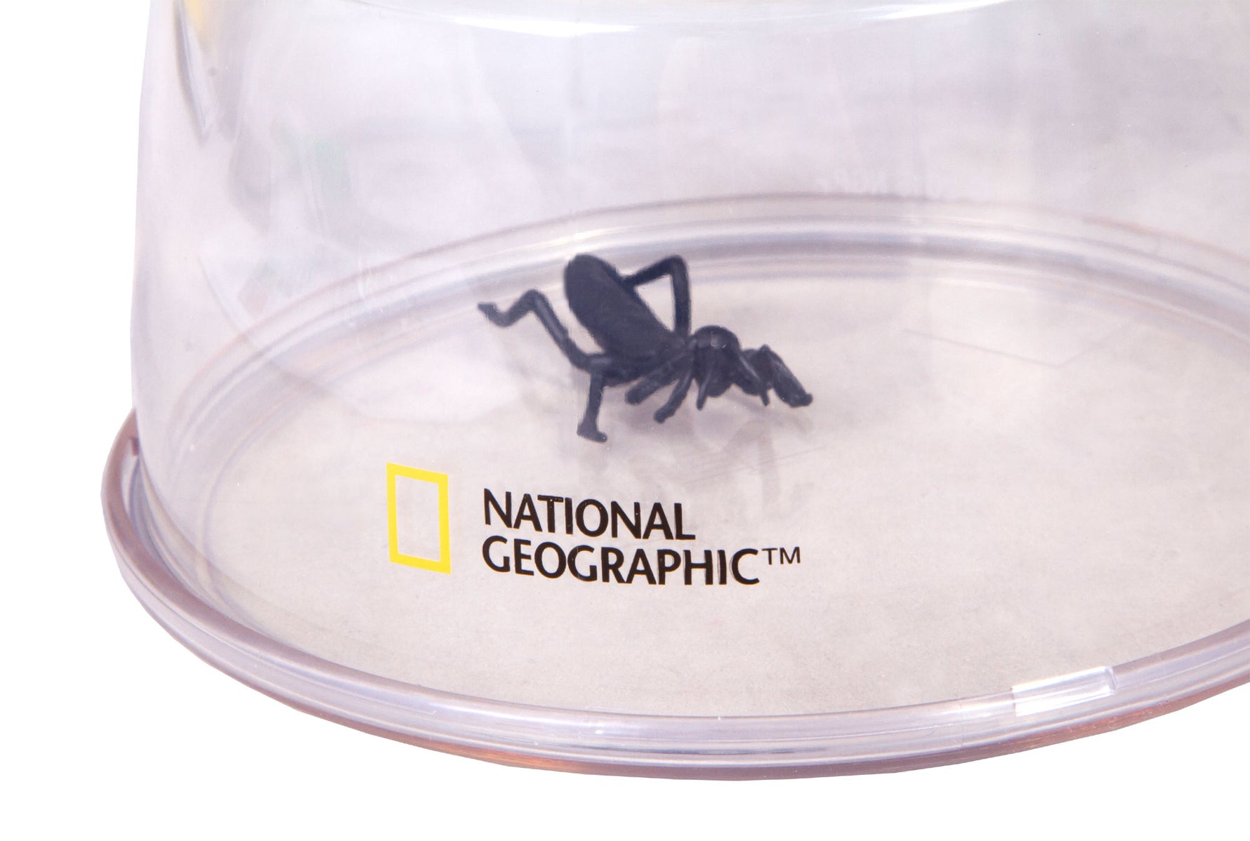 Bresser National Geographic Lente XXL 5X