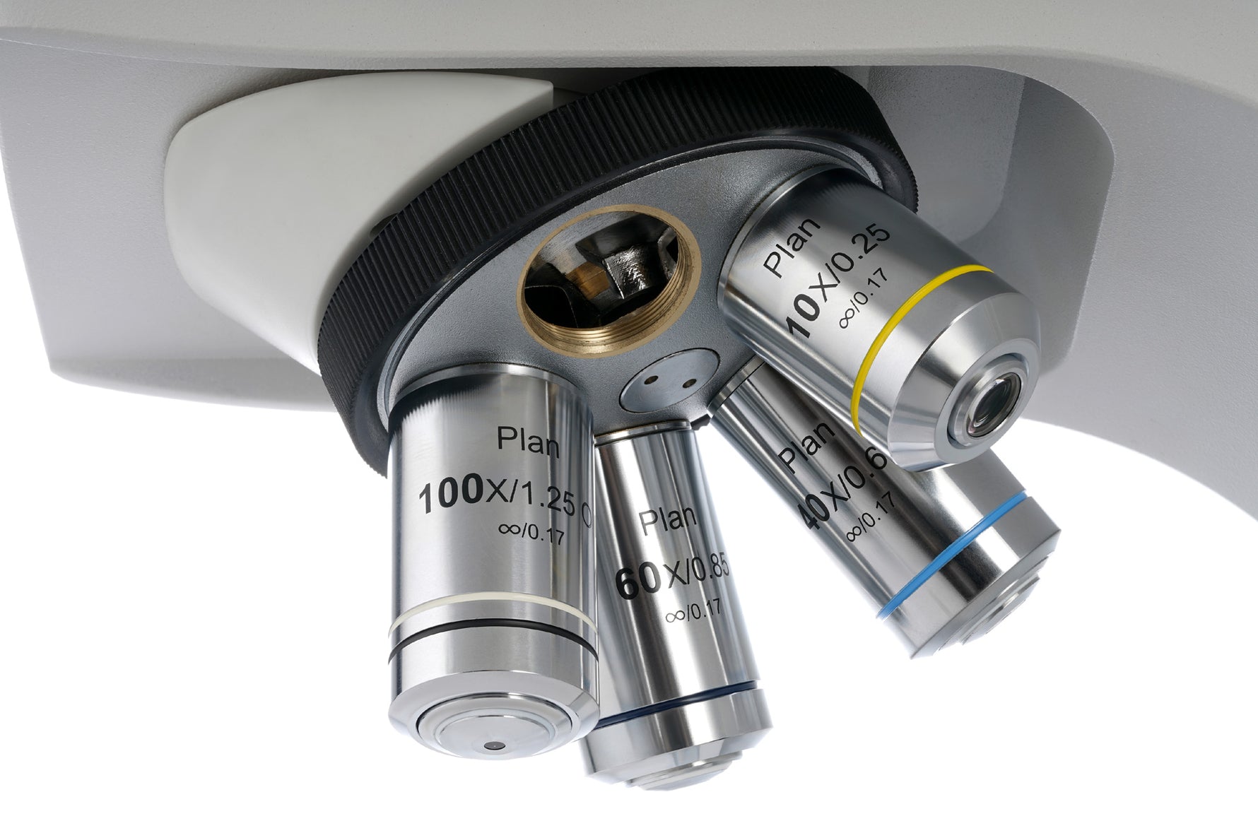 Microscopio trinoculare digitale Levenhuk MED D40T LCD