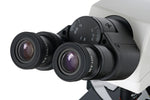 Microscopio binoculare Levenhuk MED 45B