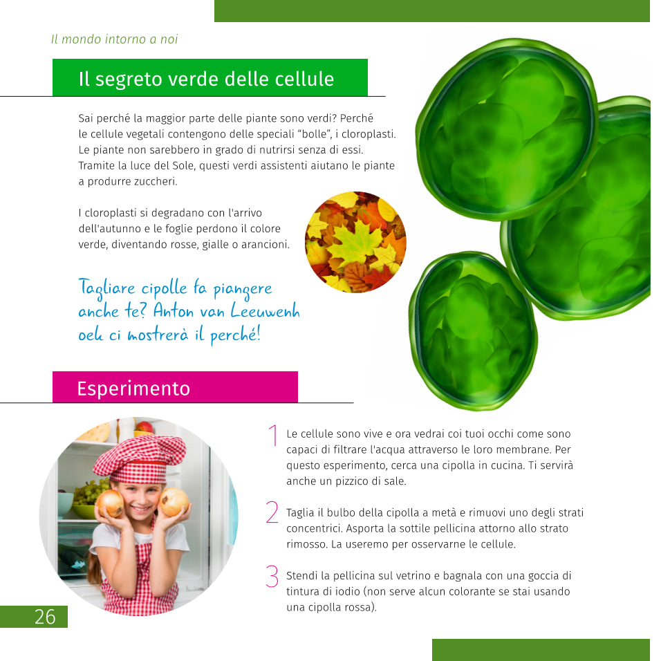 Microscopi Levenhuk Discovery Nano