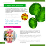 Microscopio Levenhuk Discovery Femto Polar con libro