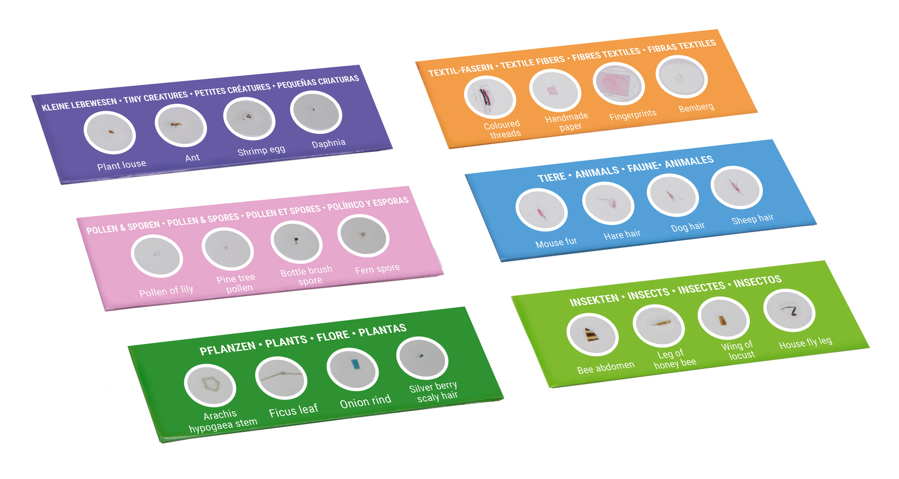 Kit per esperimenti Bresser Junior con 24 preparati permanenti microscopio per principianti