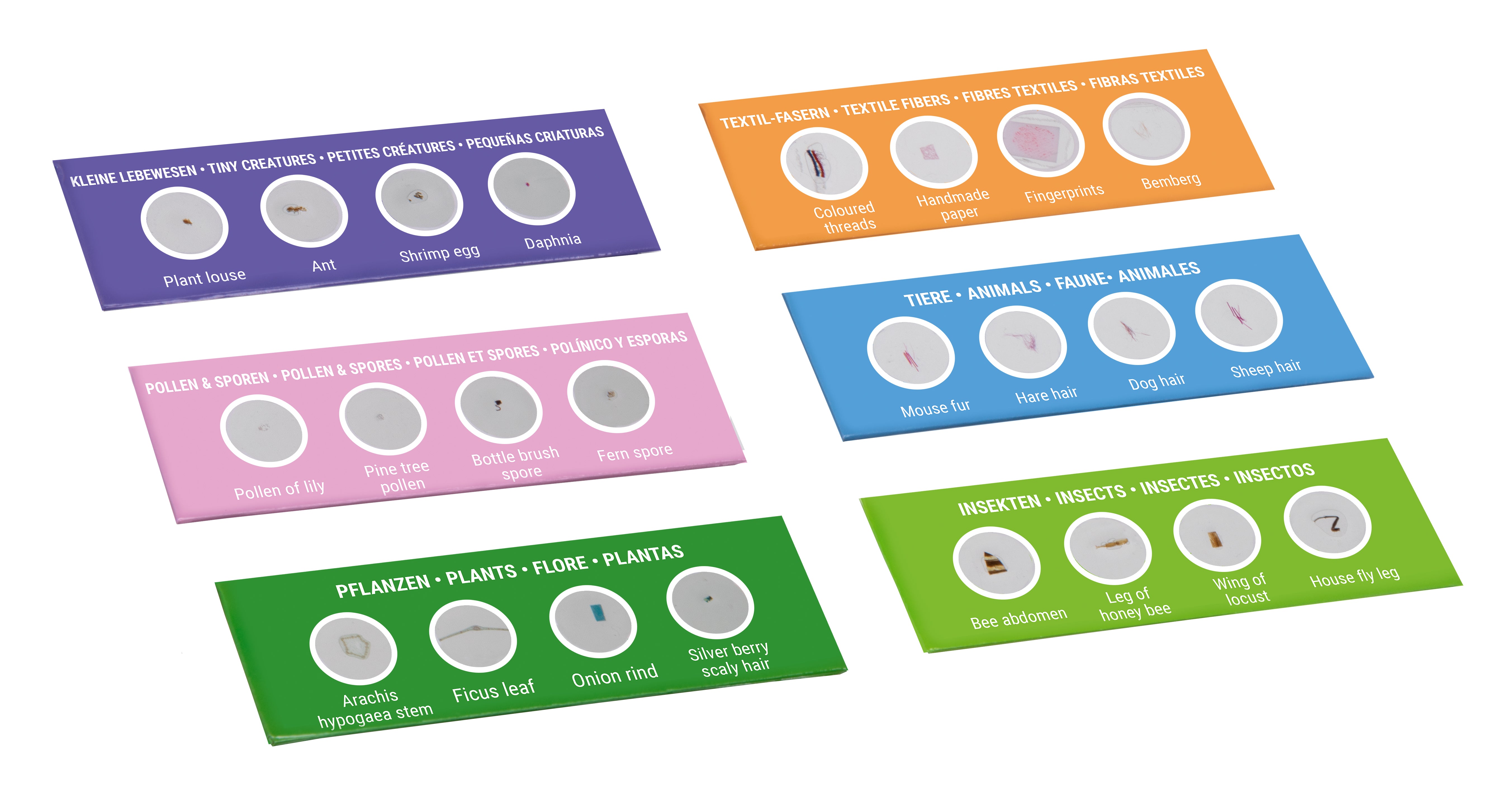 Kit per esperimenti Bresser Junior con 24 preparati permanenti microscopio per principianti