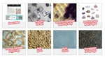 Set per microscopia Bresser Junior