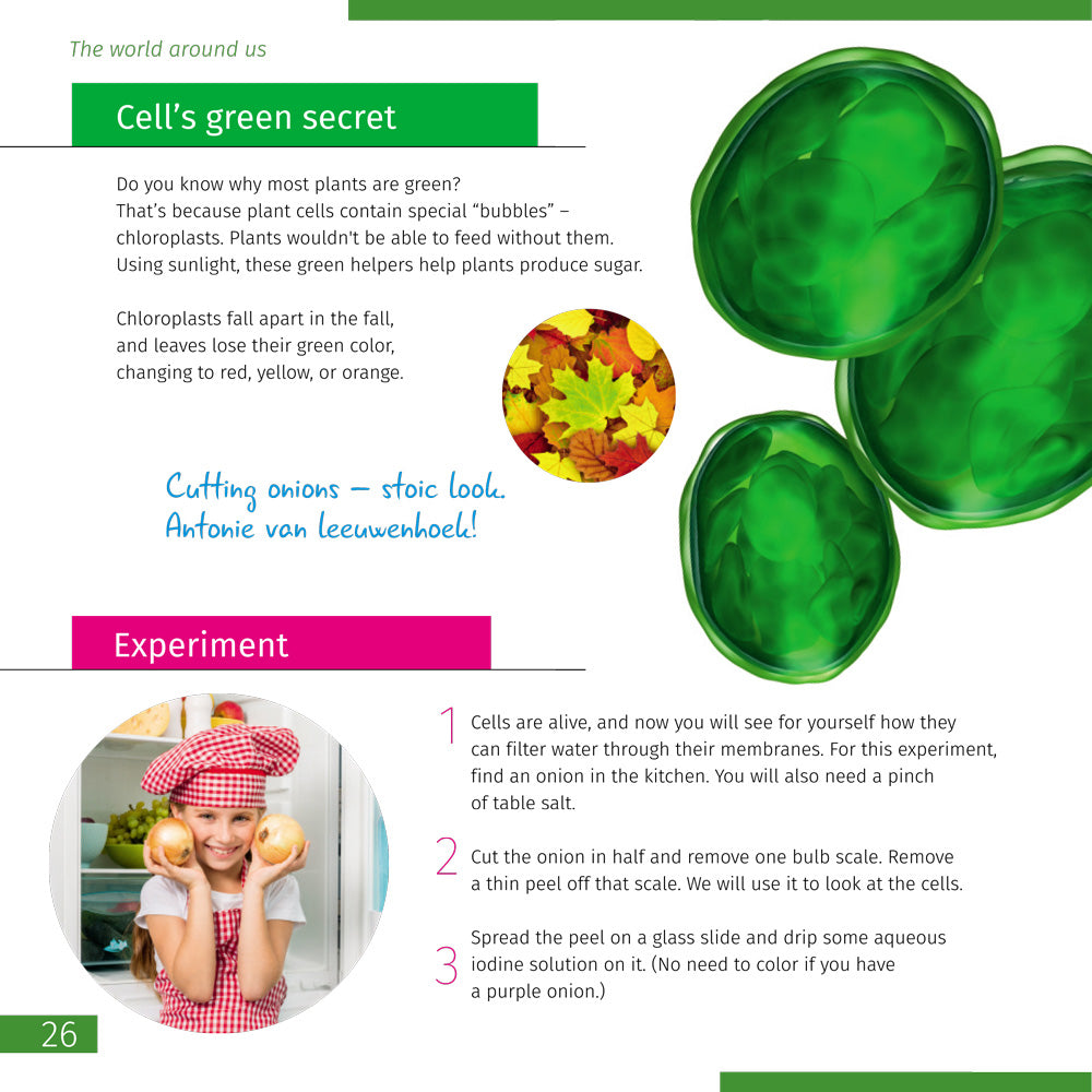 Microscopio Levenhuk Discovery Centi 02 con libro