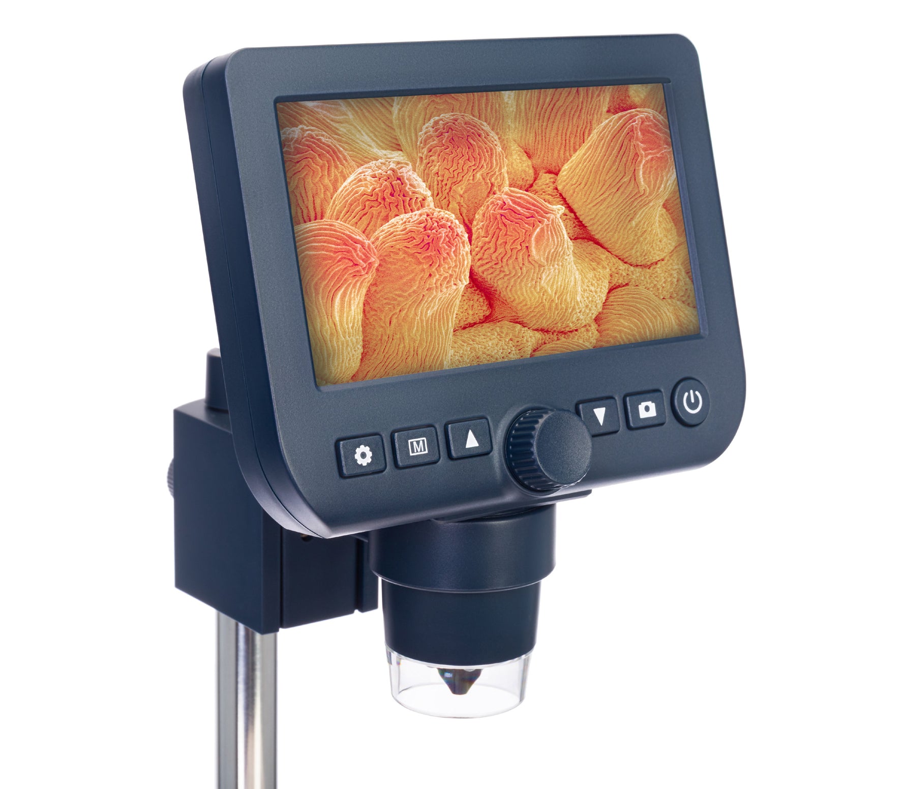 Microscopio digitale Levenhuk Discovery Artisan 64
