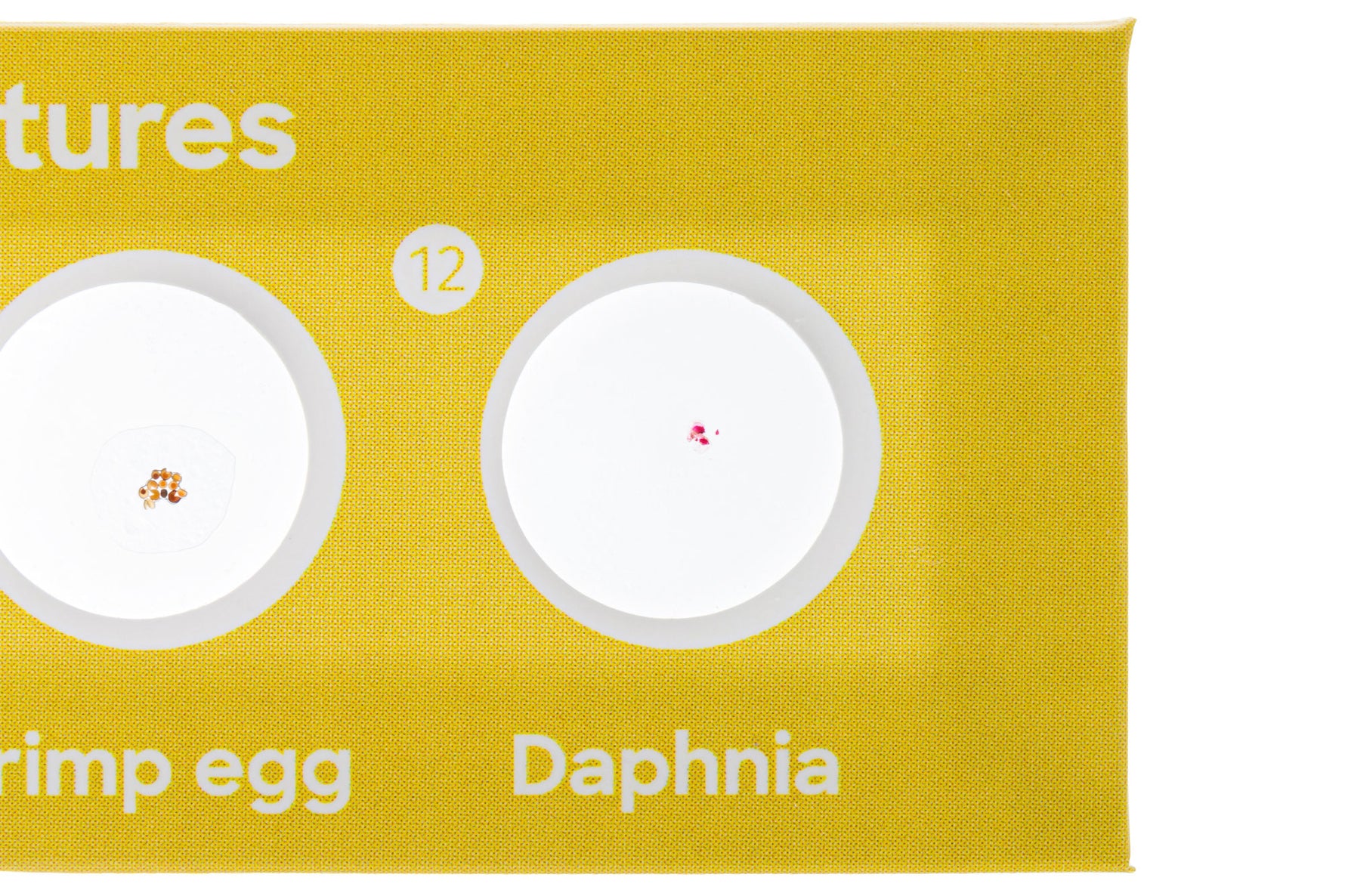 Levenhuk Discovery Fauna Set con 12 vetrini preparati