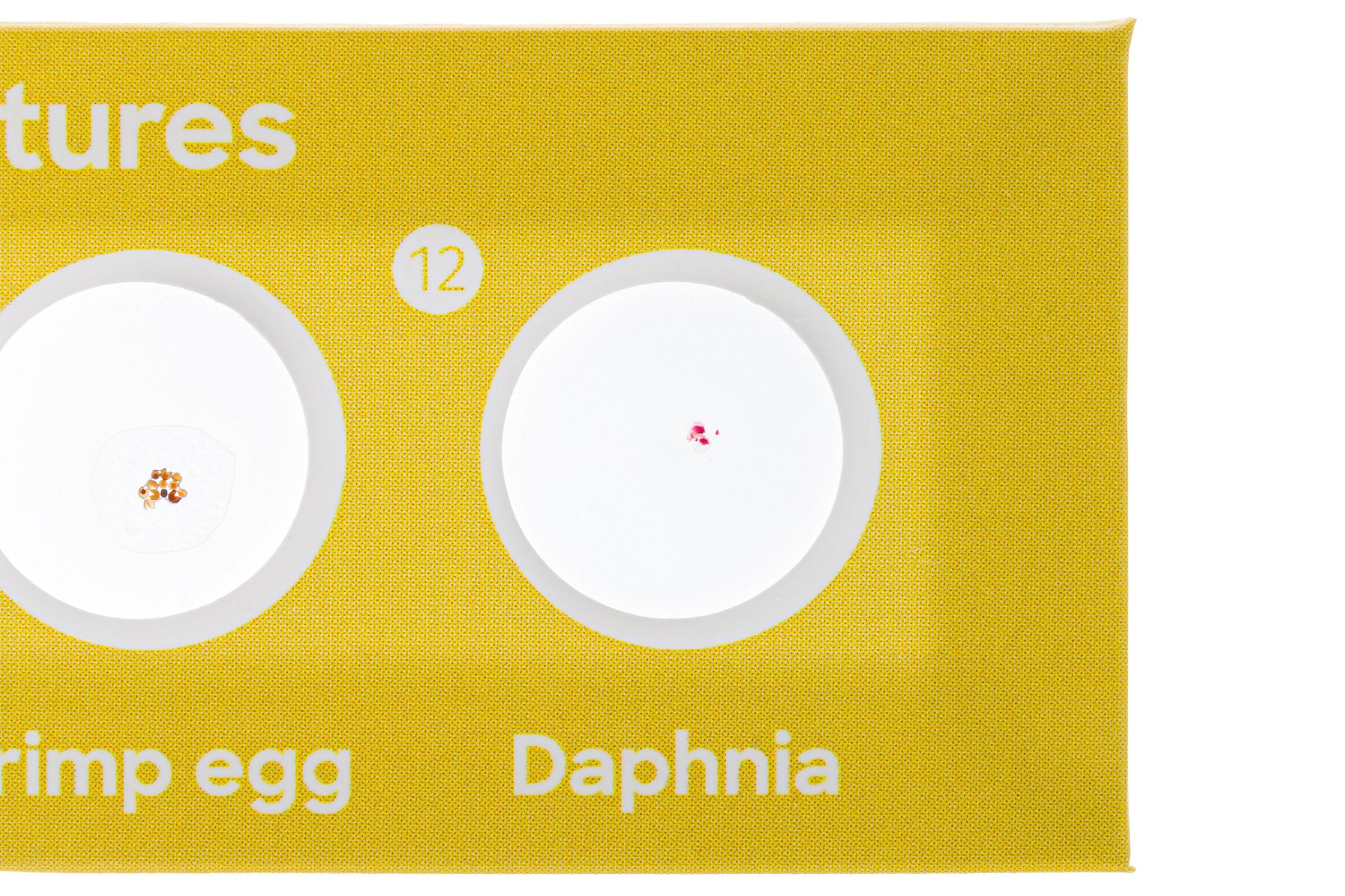 Levenhuk Discovery Fauna Set con 12 vetrini preparati