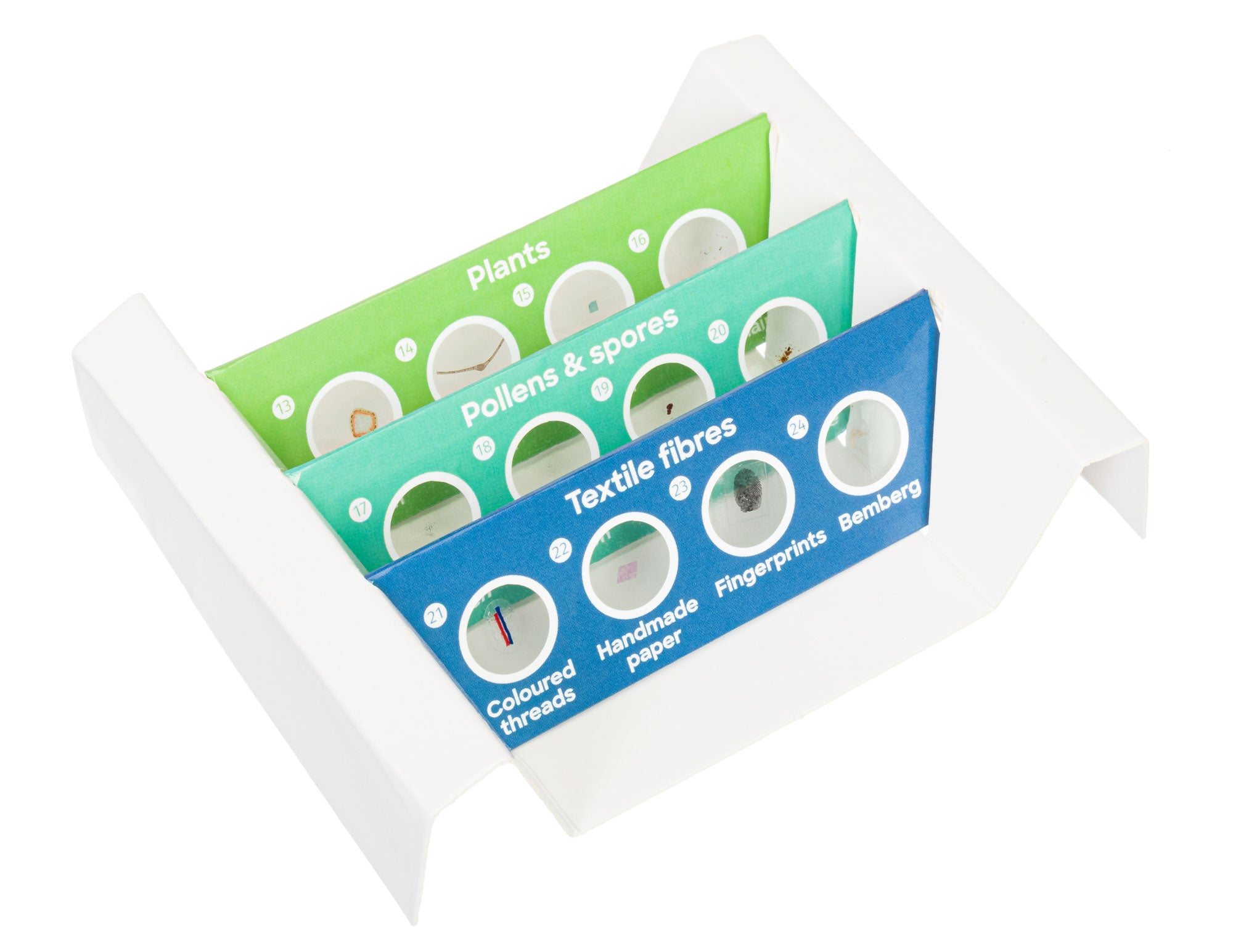 Levenhuk Discovery Flora Set con 12 vetrini preparati