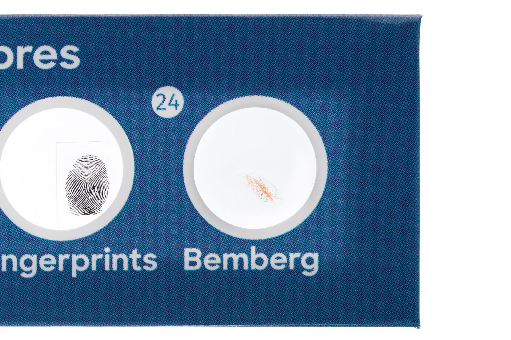 Levenhuk Discovery Flora & Fauna Set con 24 vetrini preparati