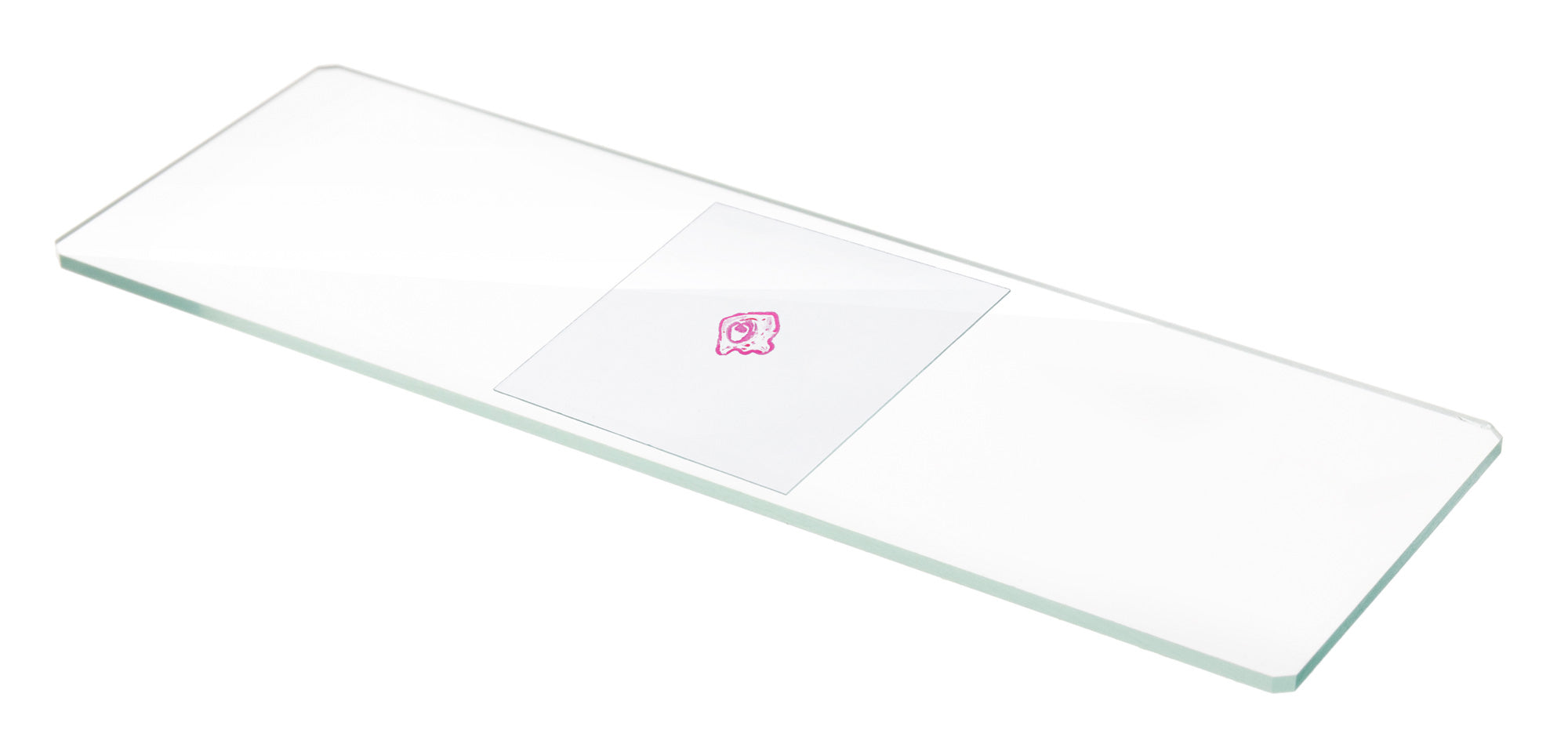 Vetrini coprioggetti Levenhuk G100, 100 pz.