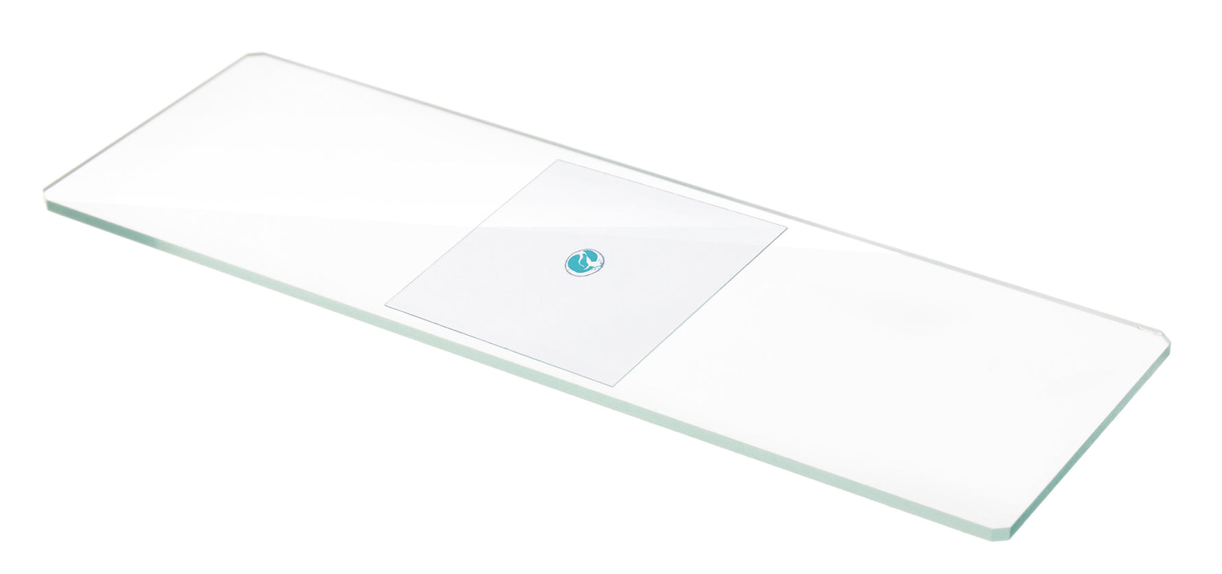 Vetrini coprioggetti Levenhuk G100, 100 pz.