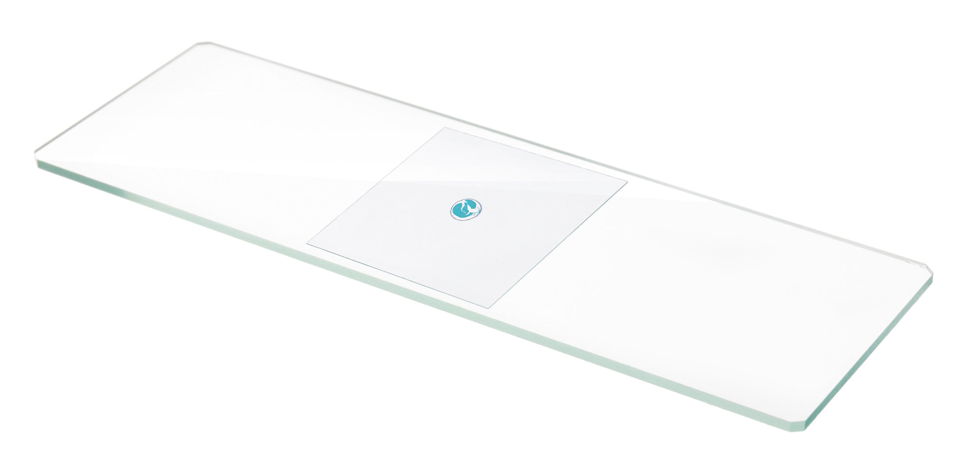 Vetrini vuoti Levenhuk Discovery 50