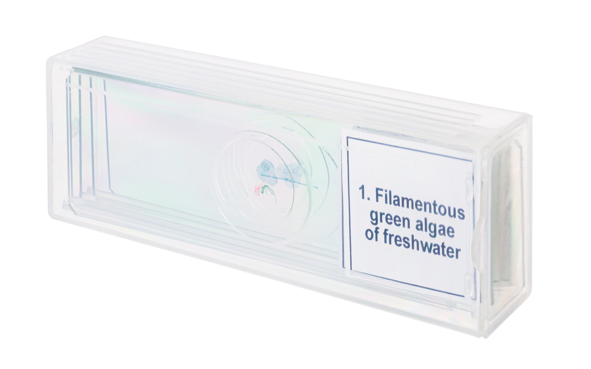 Set di micropreparati Levenhuk Discovery Prof DPS 5. “Biologia”