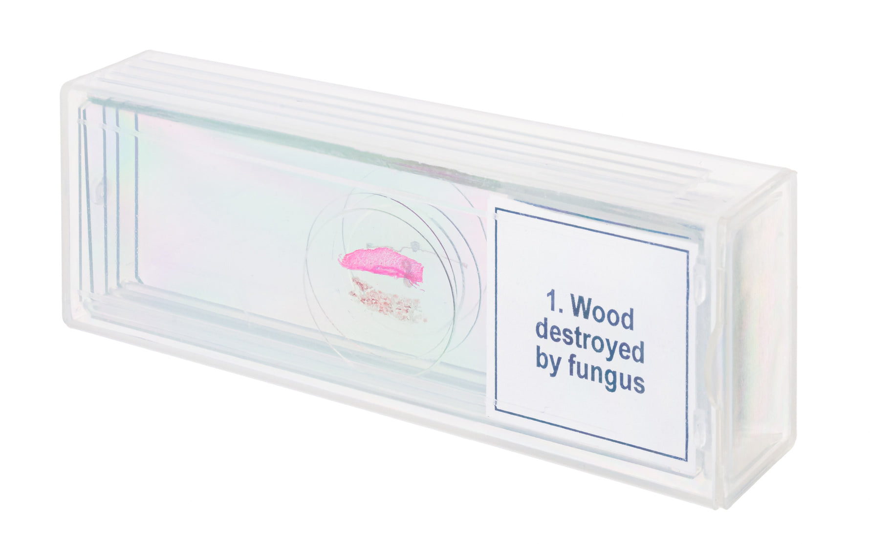 Set di micropreparati Levenhuk Discovery Prof DPS 5. “Mutazioni”