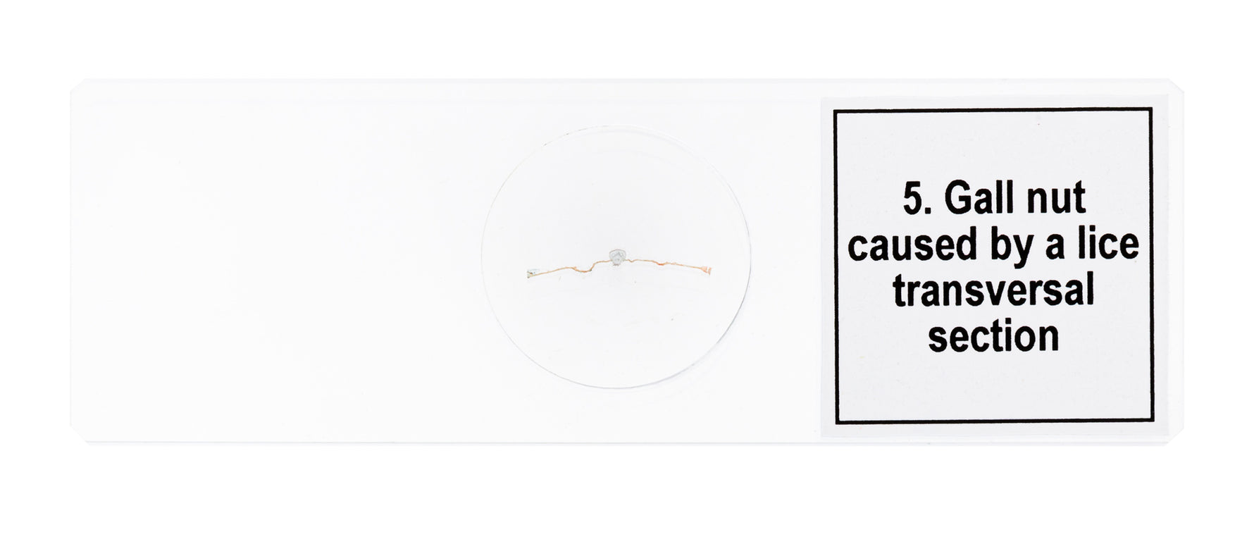 Set di micropreparati Levenhuk Discovery Prof DPS 5. “Mutazioni”