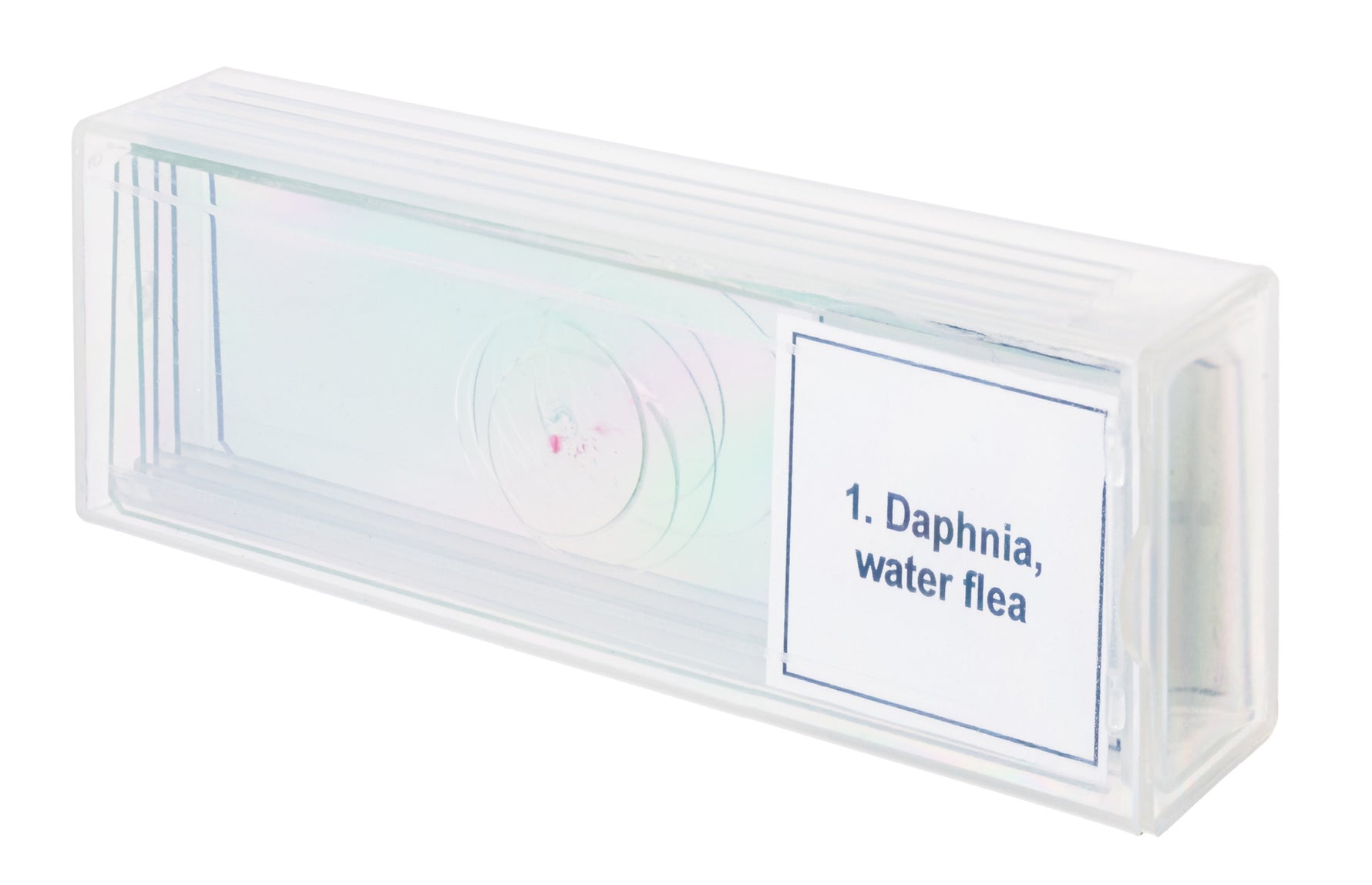 Set di micropreparati Levenhuk Discovery Prof DPS 5. “La vita in una goccia d’acqua”