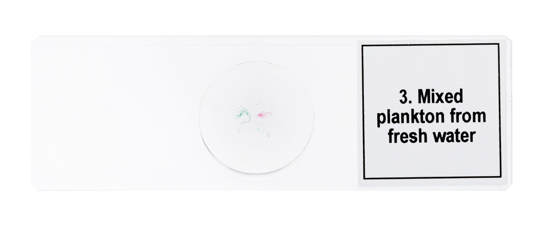 Set di micropreparati Levenhuk Discovery Prof DPS 5. “La vita in una goccia d’acqua”