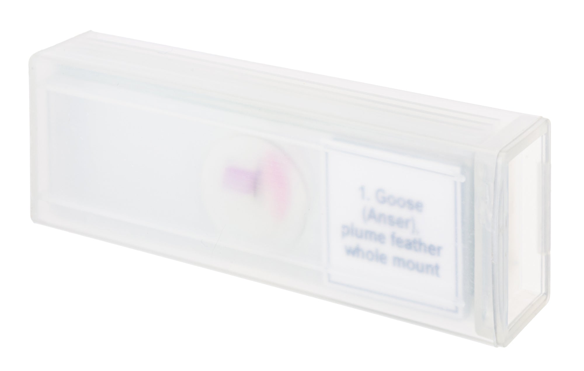 Set di micropreparati Levenhuk Discovery Prof DPS 5. “Uccelli”