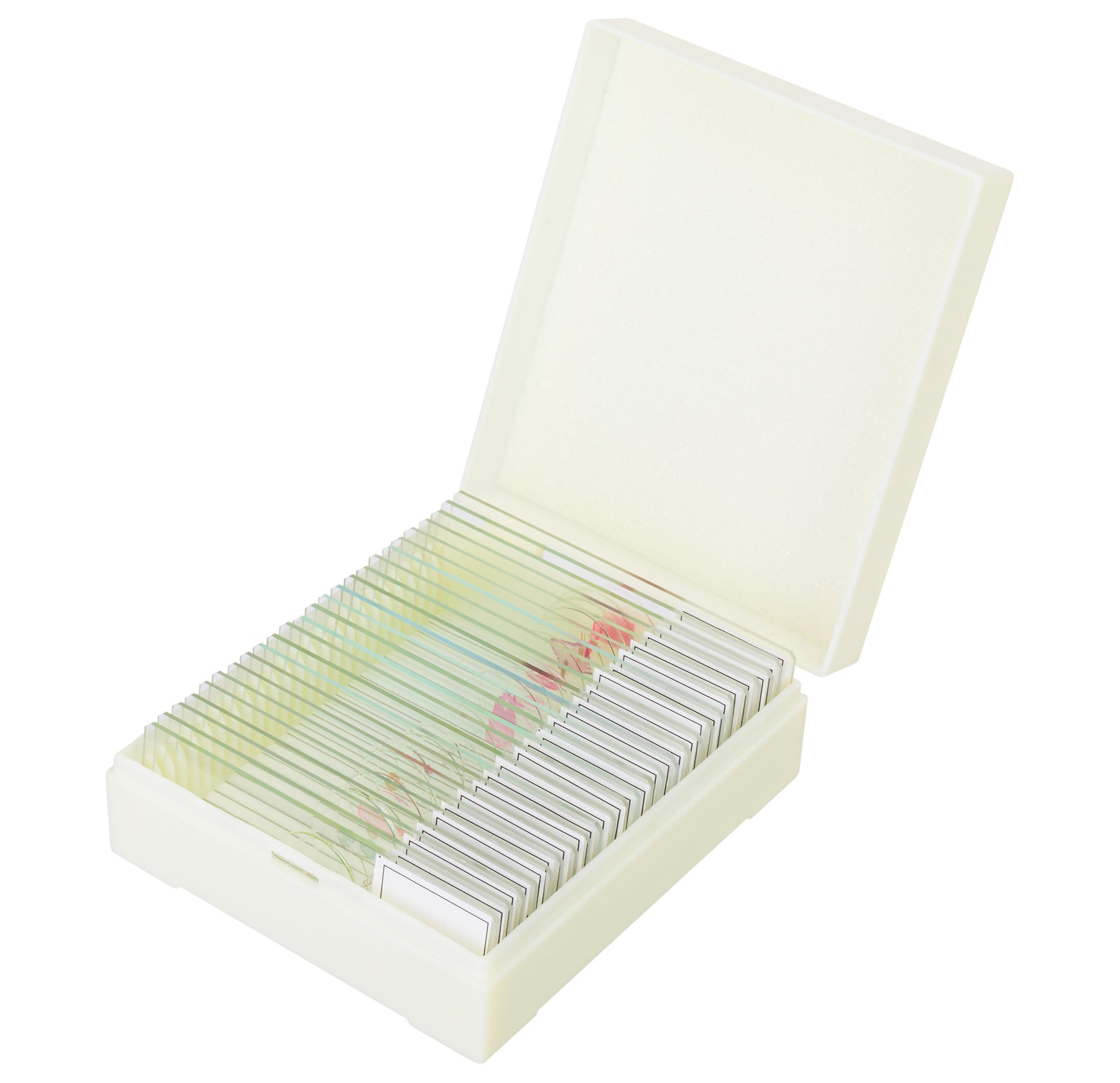 Set di micropreparati Levenhuk Discovery Prof DPS 25. “Biologia, uccelli, ecc.”