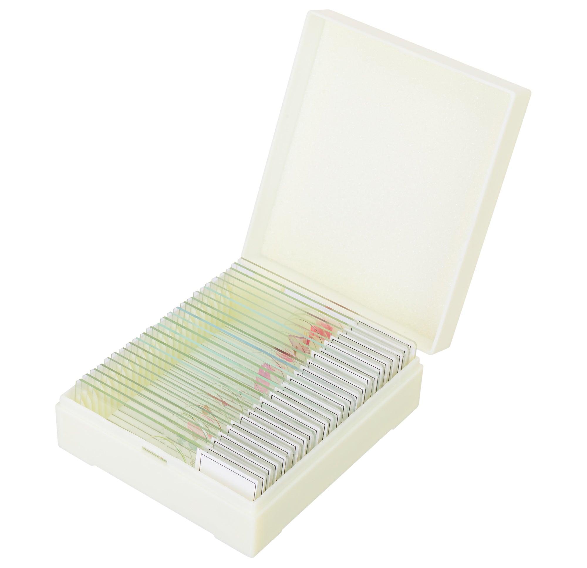 Set di micropreparati Levenhuk Discovery Prof DPS 25. “Biologia, uccelli, ecc.”