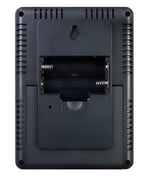 Stazione meteo Levenhuk Wezzer PLUS LP20