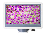 Microscopio digitale Levenhuk D85L LCD
