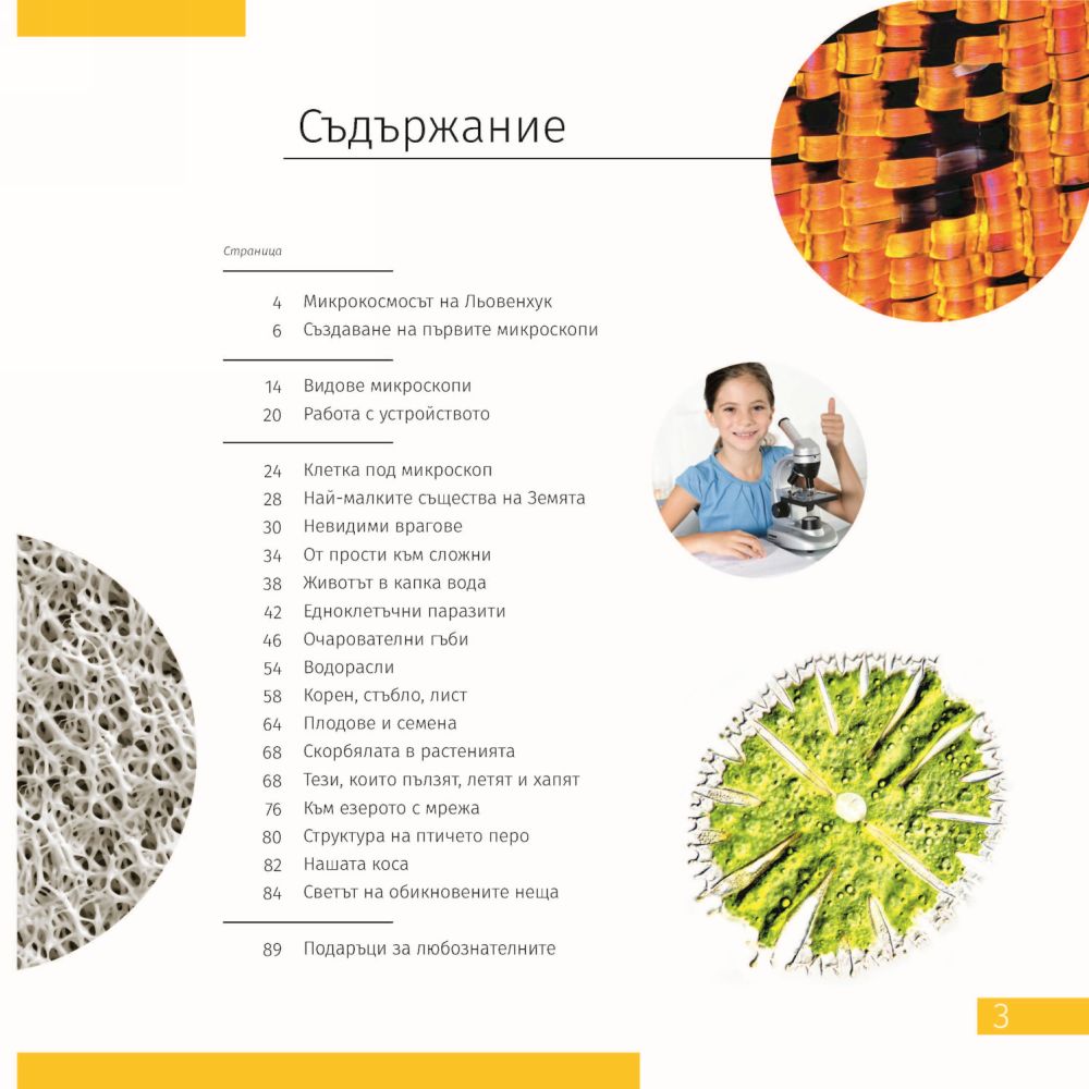 Microscopio Levenhuk Discovery Centi 02 con libro