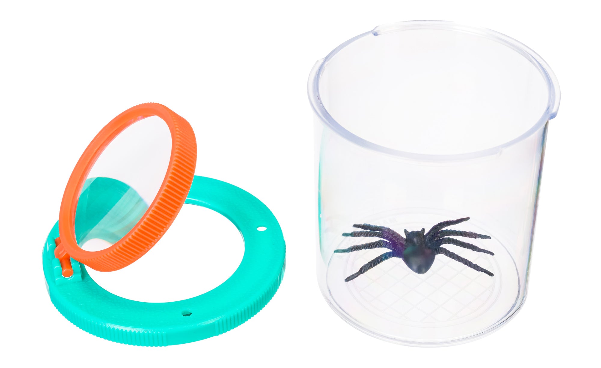 Barattolo per insetti Levenhuk Discovery Basics CN5